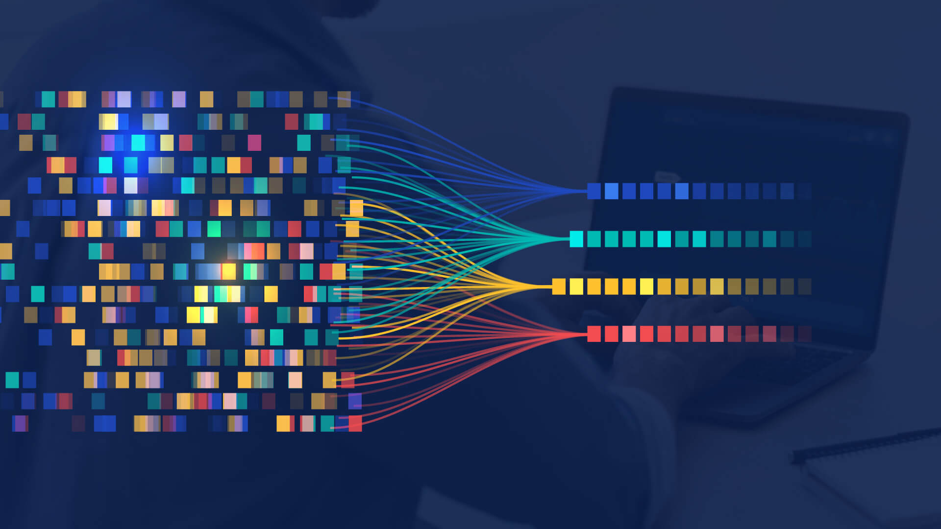 Understanding Data